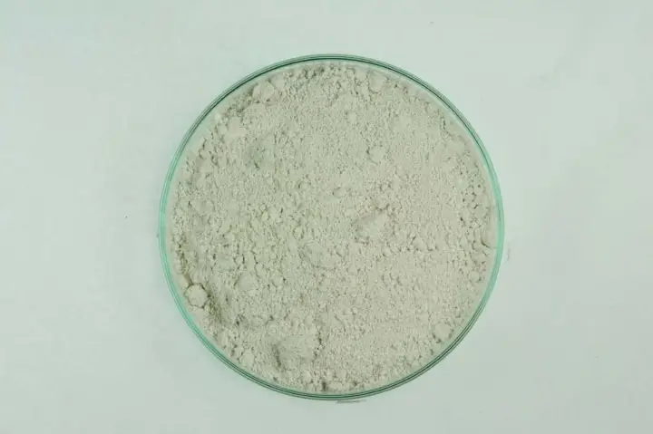 Krieda z Ruegenu (práškový pigment)